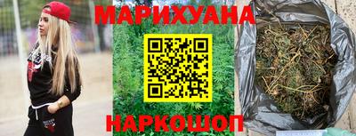 крисы Славгород