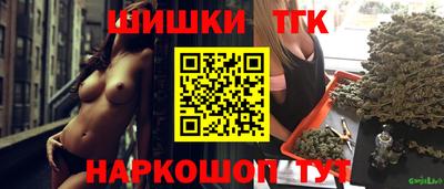 крисы Славгород