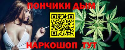 крисы Славгород