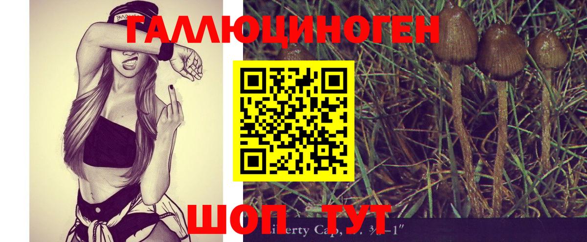 Псилоцибиновые грибы мицелий Советская Гавань